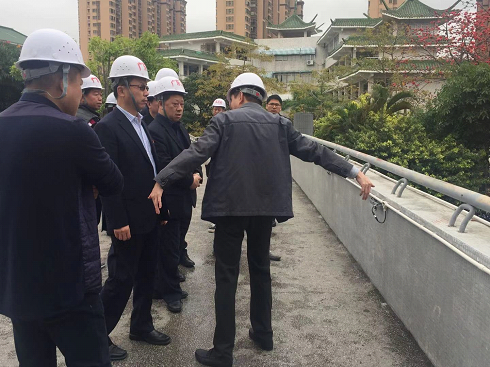 龙湖区委书记林定亮带队调研天山路,黄泰立交,新津河