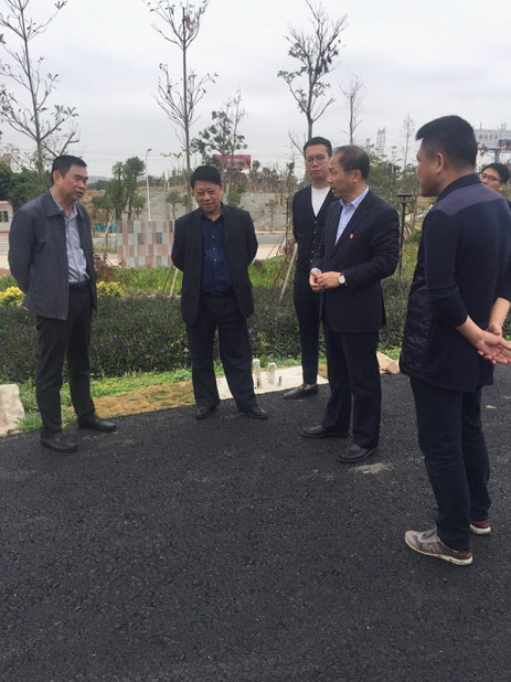 龙湖区委书记林定亮带队调研天山路,黄泰立交,新津河