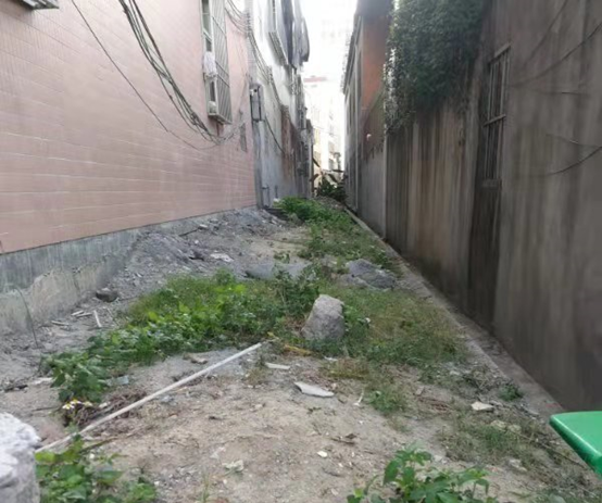 打牢"地基"振乡村攻坚"高地"促蝶变—新津街道大力推进美丽乡村建设