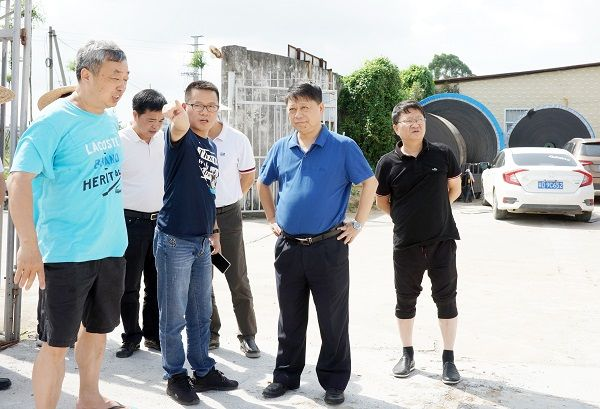 林定亮一行先后察看了鸥汀南面排渠,龟桥北排渠,上黄线及蔡社涵线,每