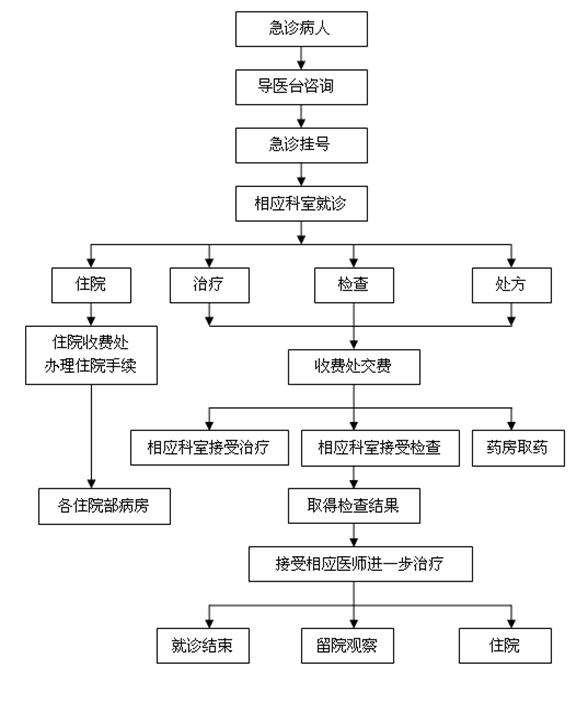 急诊流程