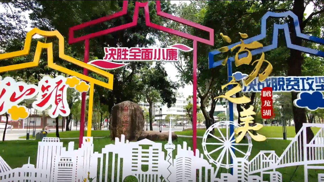 瞰龙湖 · 活力之美