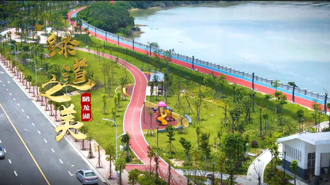 瞰龙湖 · 绿道之美