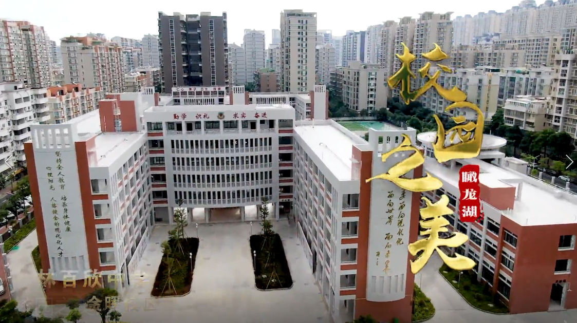 瞰龙湖 · 校园之美