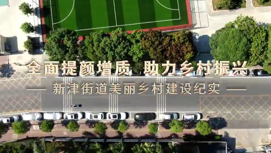 全面提颜增质，助力乡村振兴——新津街道美丽乡村建设纪实