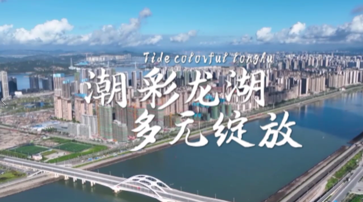潮彩龙湖 多元绽放