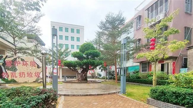 拆除违章建筑后建成的和西公园.png