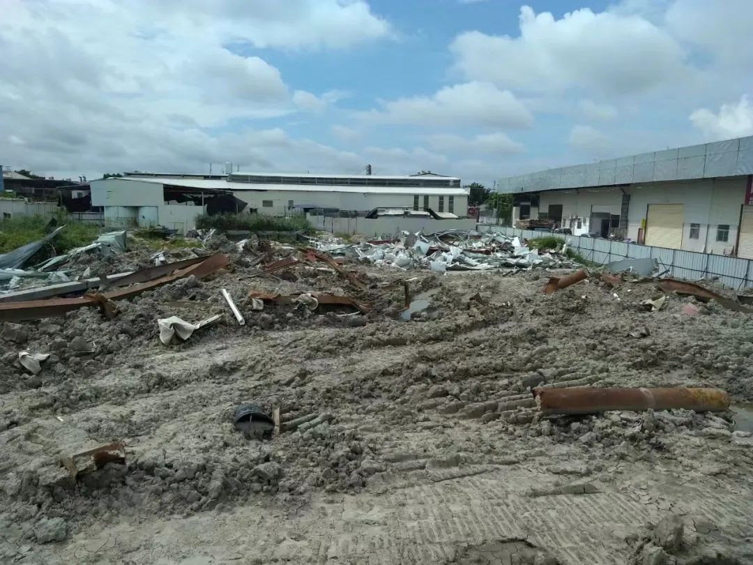 “鸥汀”模式蔡社地块整理前后照片及37亩现场及项目效果图1.png