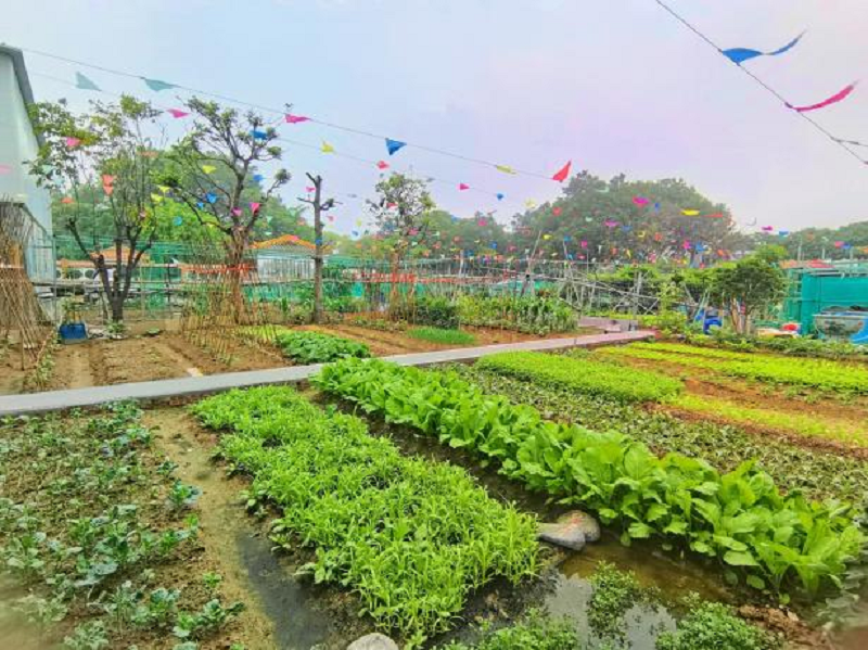 永安社区“四小园”建设成效.png