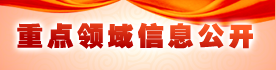 重点领域信息公开