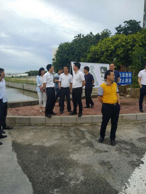 副市长,梅溪河市级河长林晓涌带队开展巡河检查工作
