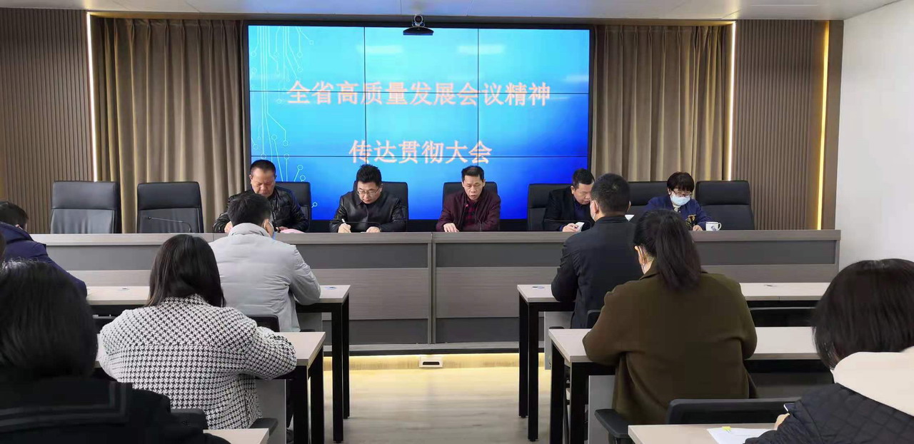 全省高质量发展会议精神传达贯彻大会up.JPG