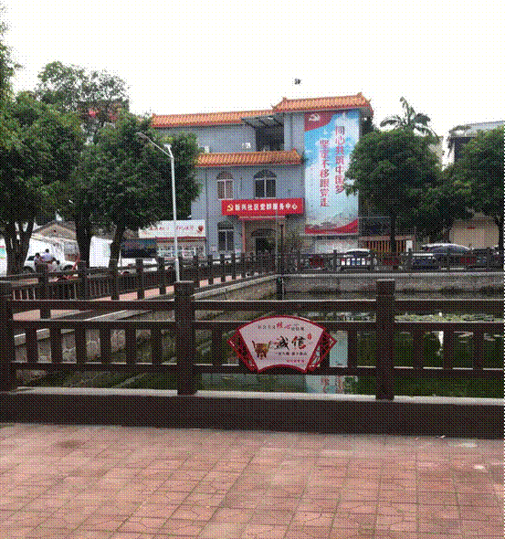 5.gif
