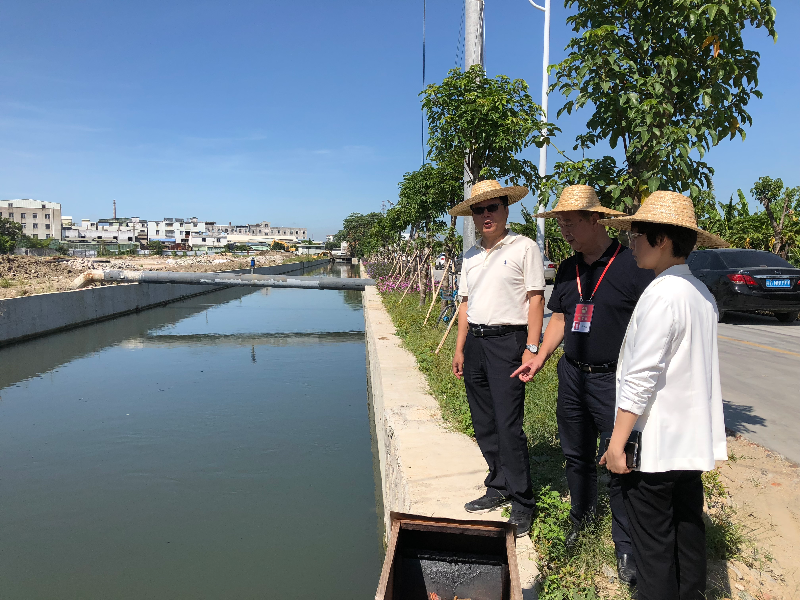 鸥汀街道开展"更好发挥人大代表作用"主题活动