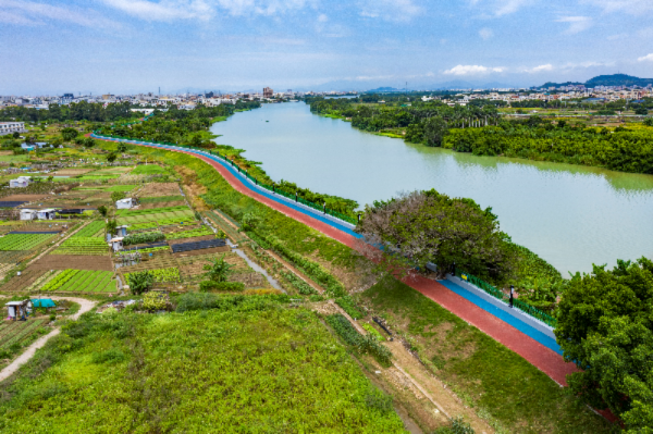 新津河(东段:324国道-金鸿公路,西段:旦家园-324国道)河堤景观提升